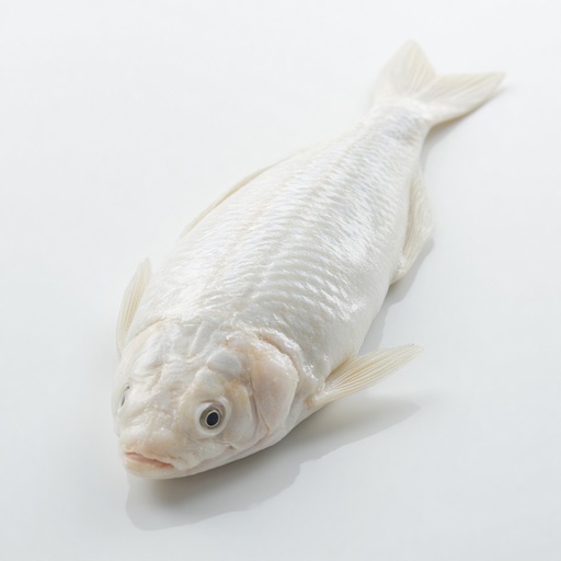 미니멀한 스튜디오 - 무료 다운로드 가능한 스튜디오