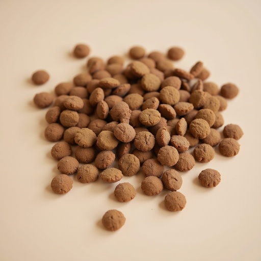 Minimalist Studio - 무료 다운로드 가능한 Studio