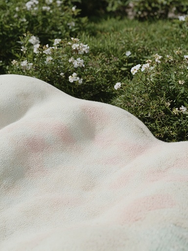 Floral garden - 무료 다운로드 가능한 Nature