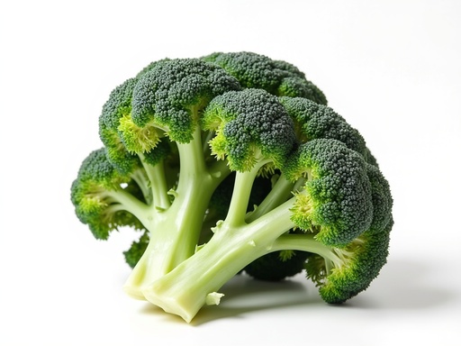 미니멀 화이트 스튜디오 - 무료 다운로드 가능한 스튜디오 배경