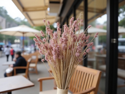 Restaurant terrace - 무료 다운로드 가능한 Dining