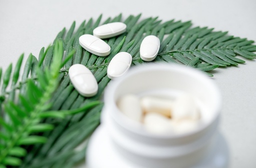 초록색 잎과 식물 배경 - 무료 다운로드 가능한 자연