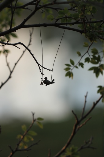 ソフトフォーカスの自然背景 - 무료 다운로드 가능한 自然