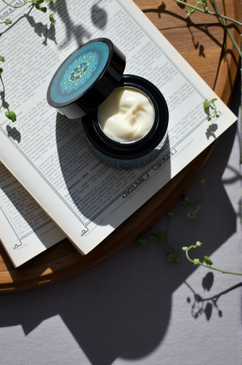Polished wooden table with plants - 무료 다운로드 가능한 Indoor