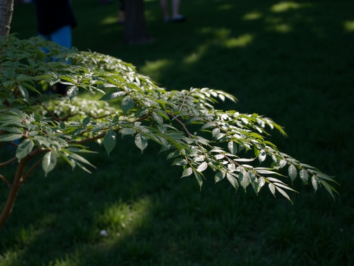 푸른 나무 - 무료 다운로드 가능한 자연