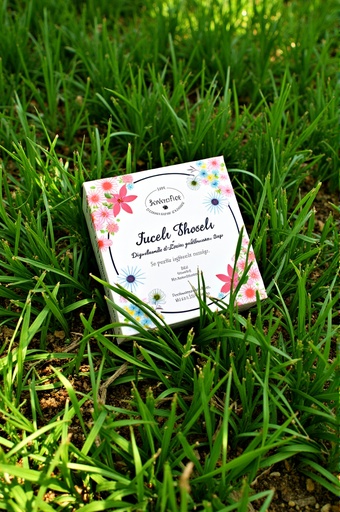 Green grass and trees - 무료 다운로드 가능한 Nature