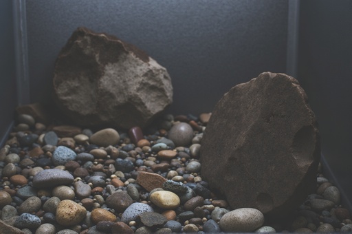 自然の庭 - 무료 다운로드 가능한 屋外の庭