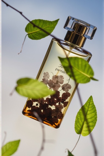 自然の背景 - 무료 다운로드 가능한 自然