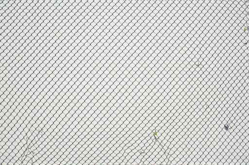 Suburban Garden - 무료 다운로드 가능한 Nature