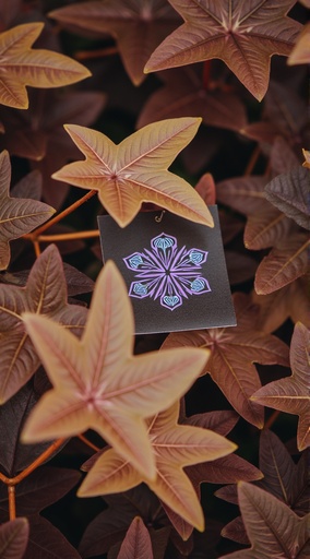 흐릿한 자연 배경 - 무료 다운로드 가능한 자연