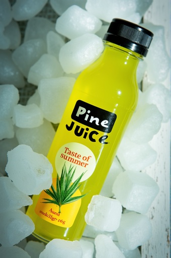 야외 자연 환경 - 무료 다운로드 가능한 자연