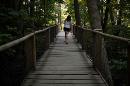 Forest - 무료 다운로드 가능한 Nature