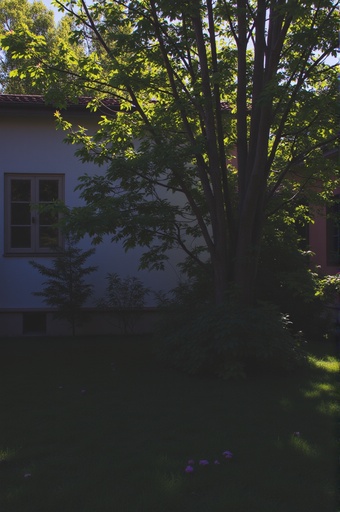 자연 풍경 - 무료 다운로드 가능한 야외