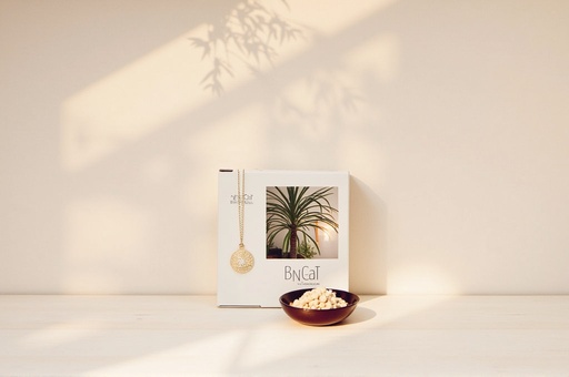 Indoor - 무료 다운로드 가능한 Home